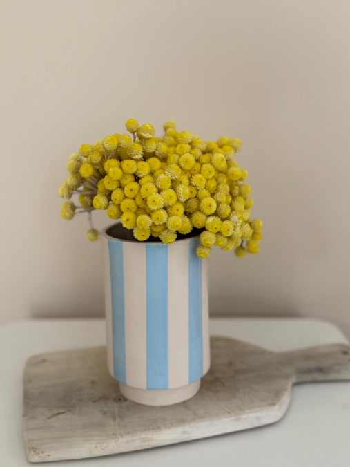 Le vase Petit Sud - rayé bleu/blanc